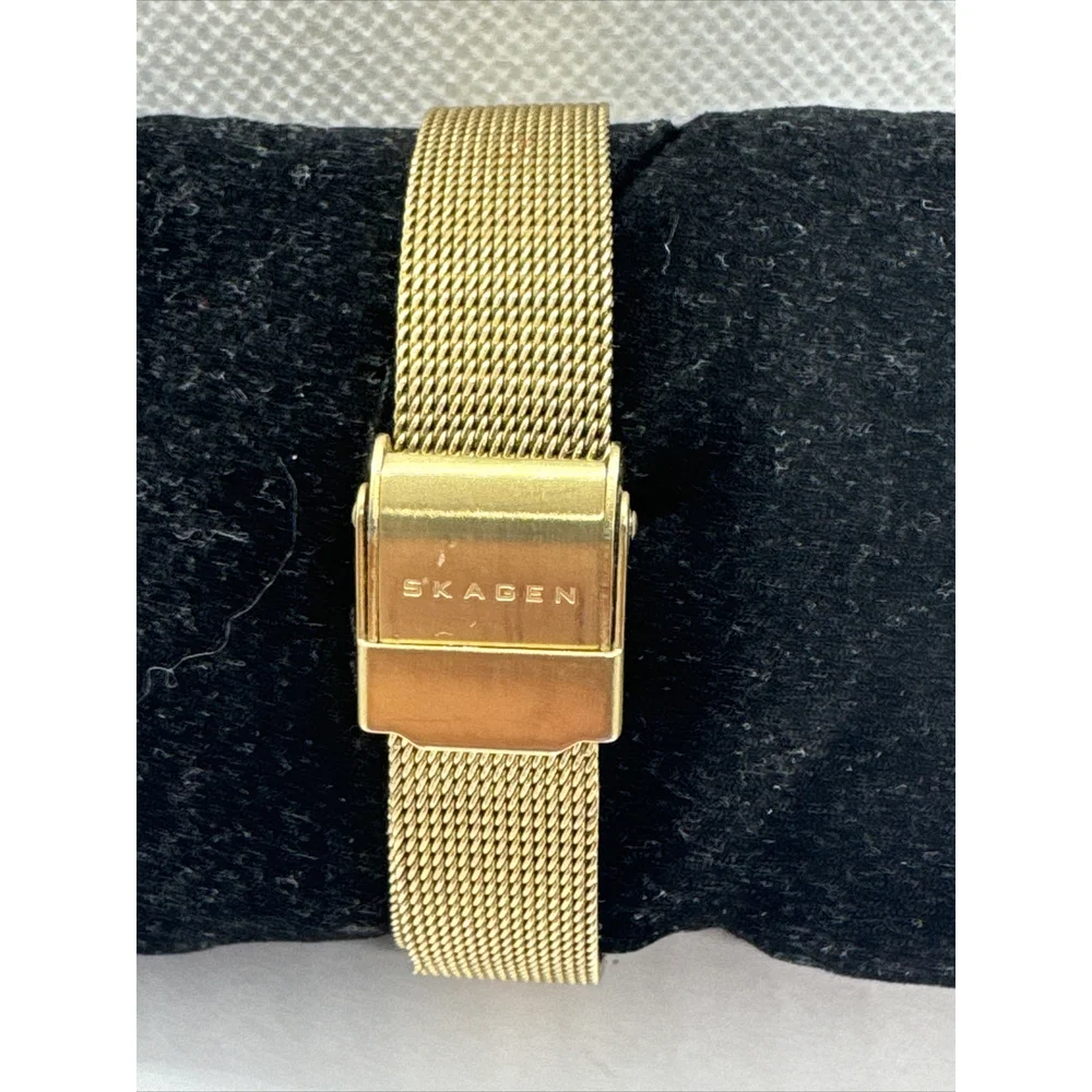 Skagen Anita Lille SKW2150 Women's Gold Stainless Steel Mesh Analog Watch AEA309